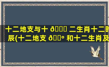 十二地支与十 🐟 二生肖十二时辰(十二地支 🐺 和十二生肖及十二时辰的对应关系)